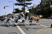 Photo-Victoria-261-Horse-Carriage-at-Belleville-St-2012-07-27