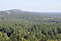 Photo-Victoria-292-View-from-Observatory-Hill-2012-08-11-030-View-South-East-to-Mount-Douglass