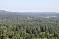 Photo-Victoria-293-View-from-Observatory-Hill-2012-08-11-031-View-South