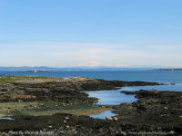 Photo-Willow-Beach-1-Victoria-B.C-2007-04-06-Mt-Baker-from-Cattle-Point