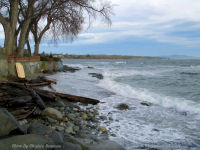 Photo-Willow-Beach-10-Victoria-B.C-2007-12-16-Windy-day-at-willow-beach