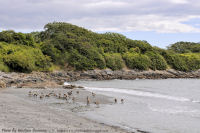 Photo-Willow-Beach-42-Victoria-B.C-2011-07-08-Cattle-Point-from-Willow-Beach