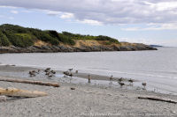 Photo-Willow-Beach-43-Victoria-B.C-2011-07-08-Cattle-Point-from-Willow-Beach