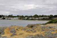 Photo-Willow-Beach-49-Victoria-B.C-2011-07-08-View-of-willow-Beach-from-Cattle-Point
