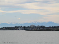 Photo-Willow-Beach-8-Victoria-B.C-2007-04-06-Part-or-Oak-Bay-from-Cattle-Point