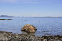 Photo-Willow-Beach-80-Victoria-B.C-2011-07-23-Mt.Baker-from-South-end-of-Willow-Beach