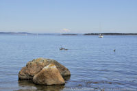 Photo-Willow-Beach-82-Victoria-B.C-2011-07-23-Mt.Baker-from-South-end-of-Willow-Beach