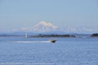 Photo-Willow-Beach-85-Victoria-B.C-2011-07-23-Mt.Baker-from-South-end-of-Willow-Beach