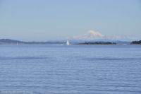 Photo-Willow-Beach-86-Victoria-B.C-2011-07-23-Mt.Baker-from-South-end-of-Willow-Beach