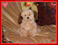 Wallpaper-OTHERS-12-My-Teddy-Merry-Christmass-from-gbphotodactical.ca-fs