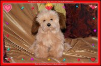 Wallpaper-OTHERS-12-My-Teddy-Merry-Christmass-from-gbphotodactical.ca-ws
