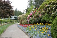 photo-Butchart-Gardens-4-2010-05-17-LOOKING-BACK-AFTER-ENTERING-VIC.-B.C