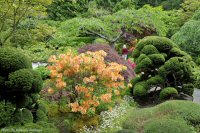photo-Butchart-Gardens-50-2010-05-17-JAPANESE-GARDEN-VICTORIA-B.C