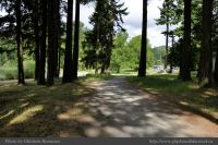 photo-ELK-Lake-17-Trail-to-the-Park-2014-06-09