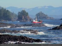 photo-East-of-Amphitrite-Lighthouse-119-2009-01-19-158-Tenacious-coming-in-Near-Ucluelet-B.C.