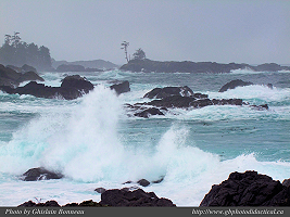 PAGE PHOTO OCEAN WEST - near Ucluelet, CA.