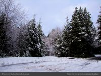 photo-Rain-Forest-Trail-B-01-2008-12-22-03-Trail-access-from-the-Parking-Lot
