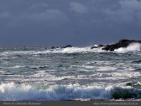 photo-SMALL-BEACH-15-2008-12-28-437-View-from-Small-Beach-Ucluelet