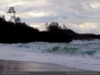photo-SMALL-BEACH-37-2008-12-28-566-View-from-Small-Beach-Ucluelet