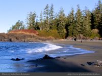 photo-SMALL-BEACH-60-2009-01-02-233-View-from-Small-Beach-Ucluelet