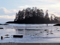 photo-Schooner-Cove-12-2009-01-02-332-View-from-the-Beach-at-Low-Tide