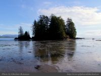 photo-Schooner-Cove-13-2009-01-02-333-View-from-the-Beach-at-Low-Tide