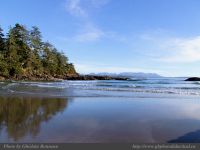 photo-Schooner-Cove-22-2009-01-02-354-View-from-the-Beach-at-Low-Tide