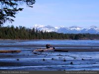 photo-Schooner-Cove-31-2009-01-02-386-View-from-the-Beach-at-Low-Tide