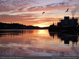 PAGE PHOTO SUNRISE down by OTTER ST. UCLUELET