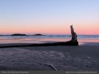 photo-Wickaninnish-Beach-40-2009-01-02-02-Standing-Log-at-Sunrise-on-Wickaninnish-Beach