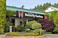 photo-butterfly-garden-2-2010-06-23-FRONT-VIEW-BUTTERFLY-GARDEN