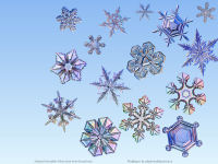 wallpaper-OTHERS-17-SNOWFLAKES-1-fs