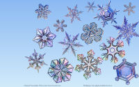 wallpaper-OTHERS-17-SNOWFLAKES-1-ws