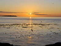 FREE wallpaper-Sunrises-Sunsets-100-Rise-Trial-Island-Lighthouse-from-Clover-Point-Victoria-B.C-2011-11-01-FS