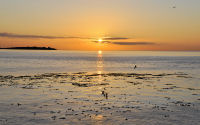 FREE wallpaper-Sunrises-Sunsets-100-Rise-Trial-Island-Lighthouse-from-Clover-Point-Victoria-B.C-2011-11-01-WS