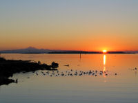 FREE wallpaper-Sunrises-Sunsets-25-Rise-near-Mount-BAKER-VICTORIA-B.C.-2007-09-11-FS