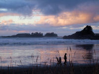 FREE wallpaper-Sunrises-Sunsets-42-from-Cox-Bay-TOFINO-B.C.-2008-12-22-FS