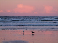 FREE wallpaper-Sunrises-Sunsets-46-Rise-Wickaninnish-Beach-Ucluelet-B.C.-2009-01-02-FS
