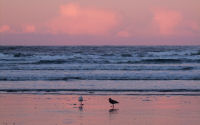 FREE wallpaper-Sunrises-Sunsets-46-Rise-Wickaninnish-Beach-Ucluelet-B.C.-2009-01-02-WS