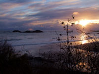 FREE wallpaper-Sunrises-Sunsets-48-Sets-Wickaninnish-Beach-Ucluelet-B.C.-2009-01-02-B-C-FS