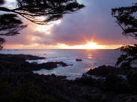 FREE wallpaper-Sunrises-Sunsets-52-Sets-West-Coast-Trail-Ucuelet-B.C.-2009-01-03-FS