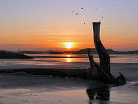 FREE wallpaper-Sunrises-Sunsets-56-Sets-Wickaninnish-Beach-Ucluelet-B.C.-2009-01-08-FS