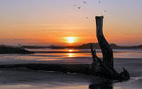 FREE wallpaper-Sunrises-Sunsets-56-Sets-Wickaninnish-Beach-Ucluelet-B.C.-2009-01-08-WS