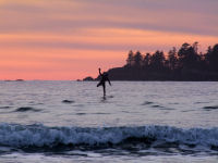 FREE wallpaper-Sunrises-Sunsets-60-Sets-Surfer-at-Chesterman-Beach-Tofino-B.C.-2009-01-14-FS