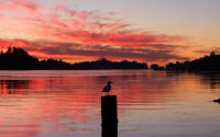 FREE wallpaper-Sunrises-Sunsets-87-Rise-down-by-Otter-Street-UCLUELET-B.C-2009-01-20-WS