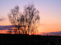 FREE wallpaper-Sunrises-Sunsets-92-SUNRISE-COLORS-VICTORIA-B.C-2010-02-17-FS