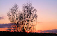 FREE wallpaper-Sunrises-Sunsets-92-SUNRISE-COLORS-VICTORIA-B.C-2010-02-17-WS