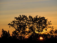 FREE wallpaper-Sunrises-Sunsets-95-Rise-VICTORIA-B.C.-2011-08-27-FS