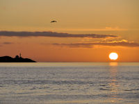 FREE wallpaper-Sunrises-Sunsets-97-Rise-Trial-Island-Lighthouse-from-Clover-Point-Victoria-B.C-2011-11-01-FS