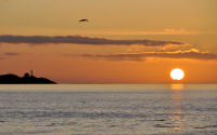 FREE wallpaper-Sunrises-Sunsets-97-Rise-Trial-Island-Lighthouse-from-Clover-Point-Victoria-B.C-2011-11-01-WS